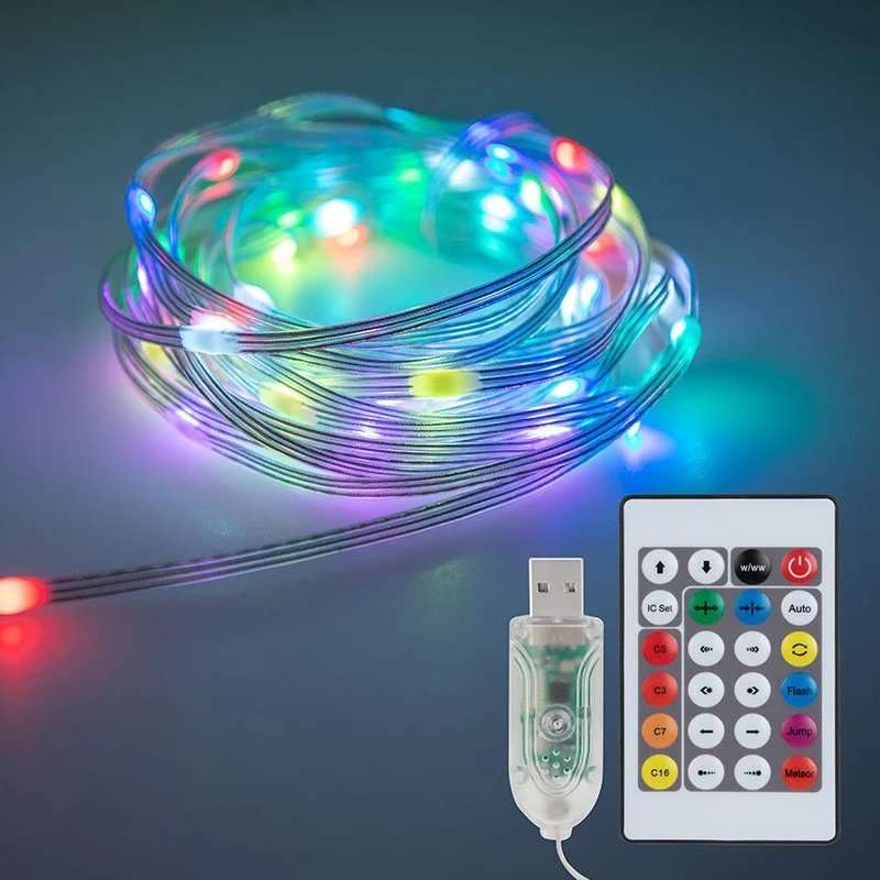 Oval Rgb 66 String Light 10M With Remote