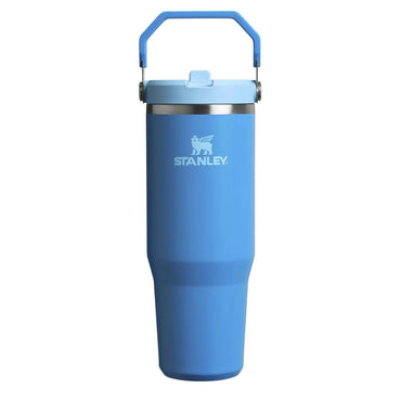 (Net)Stanley IceFlow Straw Tumbler