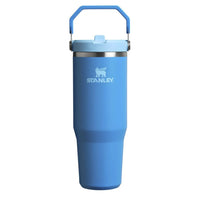 (Net)Stanley IceFlow Straw Tumbler