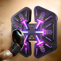 ( Net) Smart Boxing Machine Wall Target