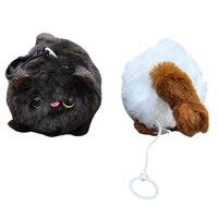 (Net) Cat Plush Toy Soft Cuddle Kitten