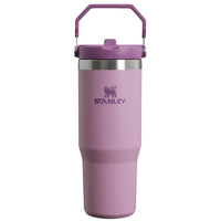 (Net)Stanley IceFlow Straw Tumbler