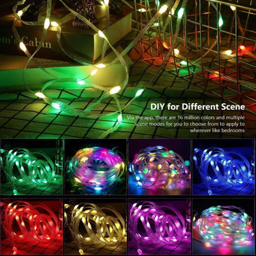 Oval Rgb 66 String Light 10M With Remote