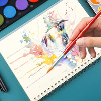 (NET )M&G Solid Water Color Paint / 12 colors with brush