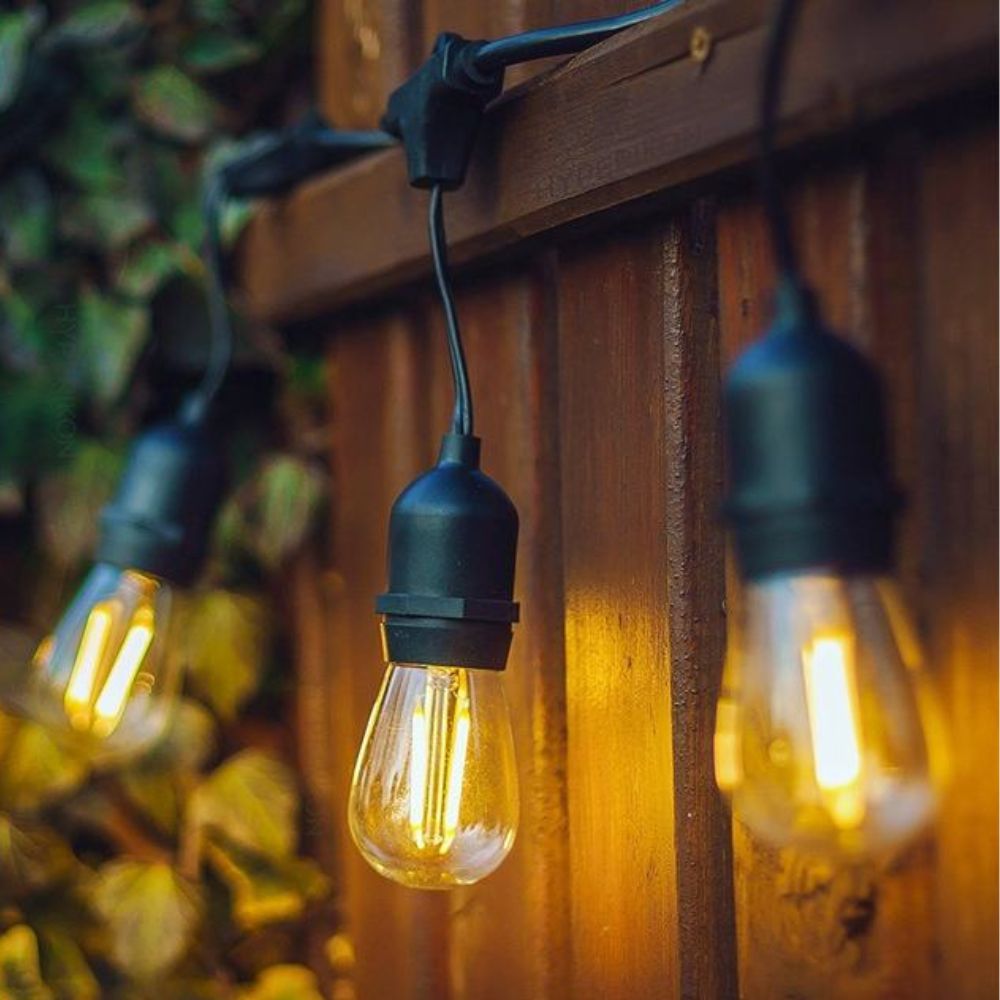 (Net) Led 5M 10 White Warm Lights