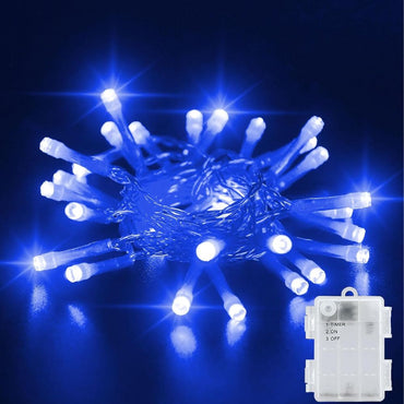 (Net) Led 5M 10 White Lights