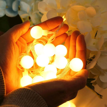 (Net) Led 5M 10 White Lights