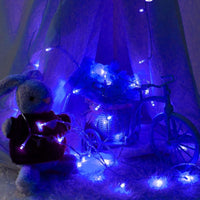 (Net) Led 5M 10 White Lights