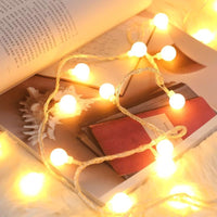 (Net) Led 5M 10 White Lights