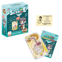 Human Internal Digestive System Educational Kit For Kids