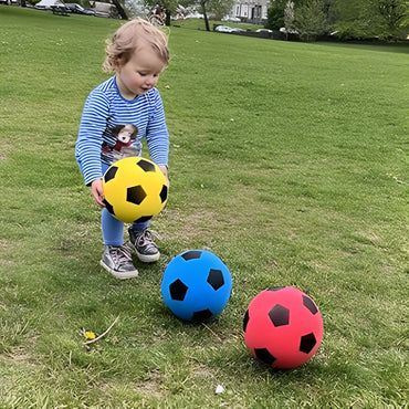 (Net) Outdoor Football