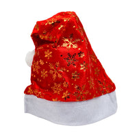 (Net)  Santa Claus Hat