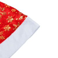 (Net)  Santa Claus Hat