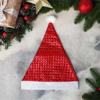 (Net)  Santa Claus Hat