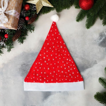 (Net)  Santa Claus Hat