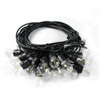 (Net) 5M 10  Warm White Light Decoration