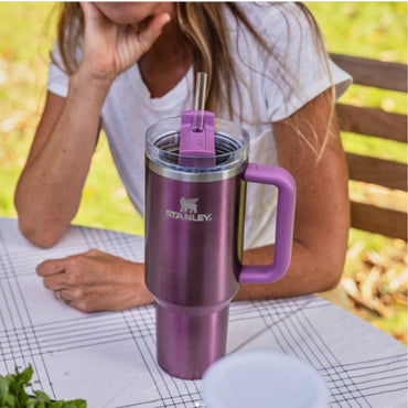 (Net)Stanley with Handle And Straw