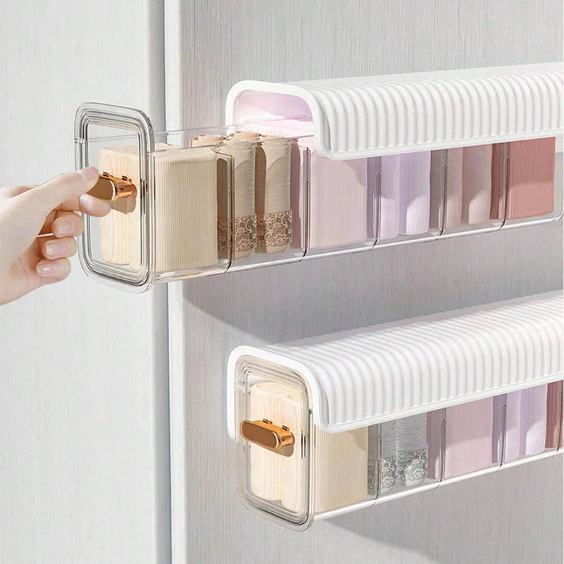 (Net) Transparent Underwear Storage Box Panties Socks Closet Bedroom Organizer