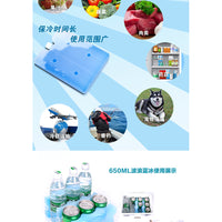 (NET) Ice Gel Box 500ML