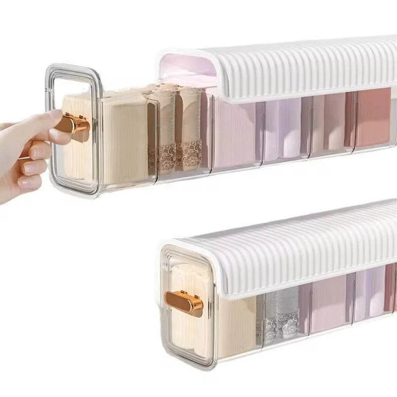 (Net) Transparent Underwear Storage Box Panties Socks Closet Bedroom Organizer