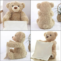 (Net)Bear Hide-And-Seek Plush Children Talks And Sings