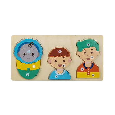Baby Toy Wooden 3D Puzzle Toys Life Cycle Cartoon Puzzle