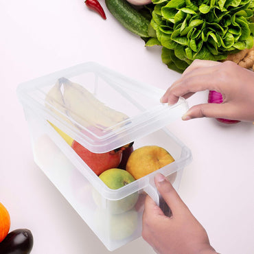 Small Refrigerator Transparent Plastic Storage