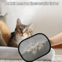 Electrostatic Pet Hair Removal Gloves