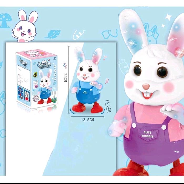 Electric Dancing Rabbit