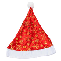 (Net)  Santa Claus Hat