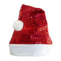 (Net)  Santa Claus Hat