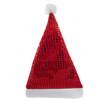 (Net)  Santa Claus Hat