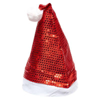 (Net)  Santa Claus Hat