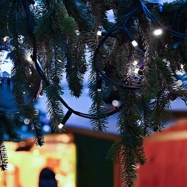 (Net) Led 9M 100 White Light