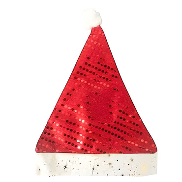 (Net)  Santa Claus Hat