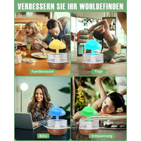 (NET) Rain Cloud Humidifier