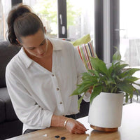 (net) Round Table Foot Pad Black Set Of 30 pcs