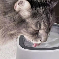 (NET)Portable Anti-Drip Water Bowl for Pets