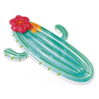 (NET) Intex Cactus Float