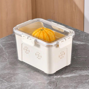 (Net) Ventilated Fruit Storage Box with Lid - Elevate Your Fresh Food Storage Experience