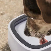 (NET)Portable Anti-Drip Water Bowl for Pets