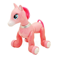 Smart Pony Remote Control.