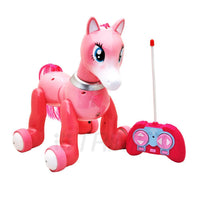 Smart Pony Remote Control.
