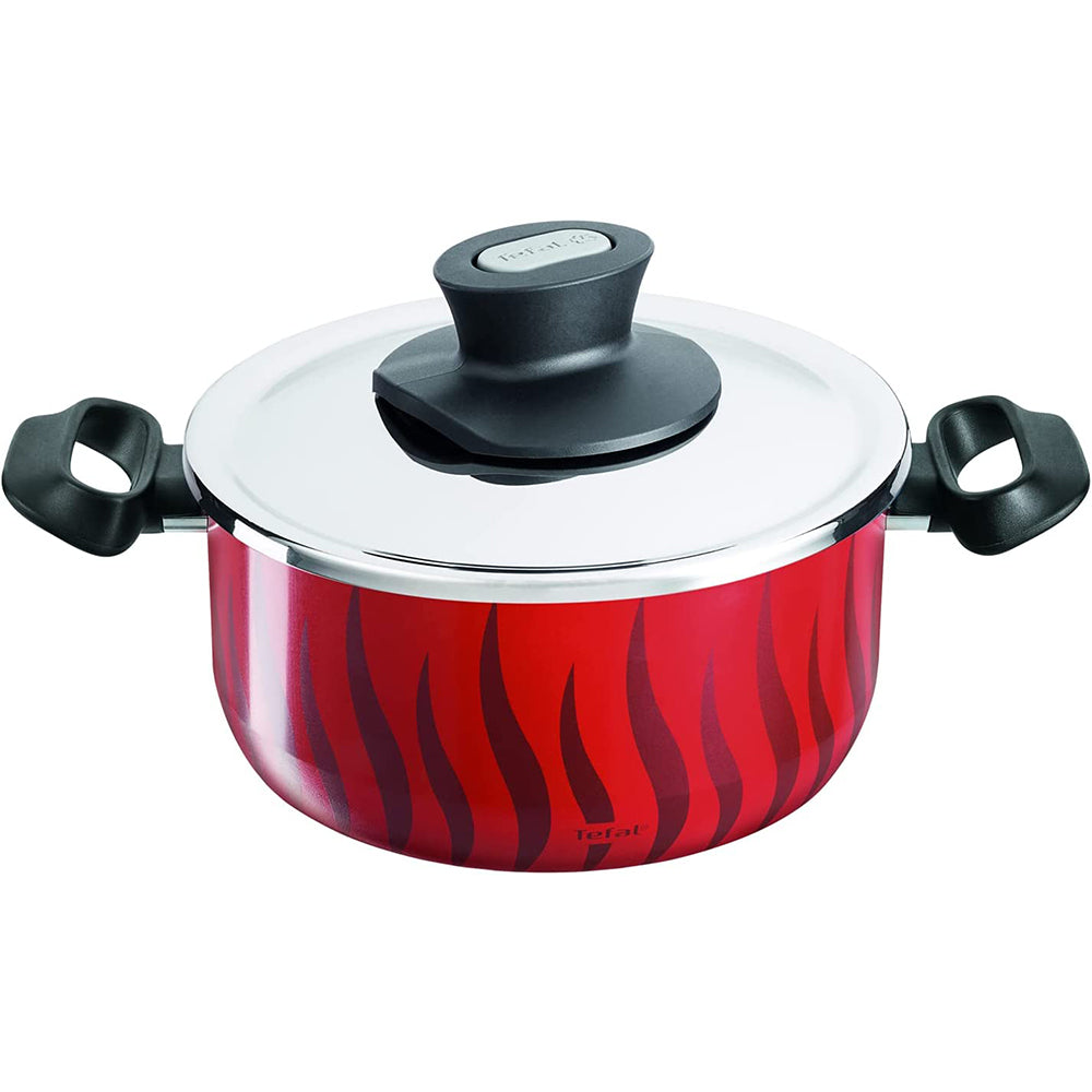 Tefal Tempo Flame Stew Pot 28 cm + Stainless Steel Lid / C3045383
