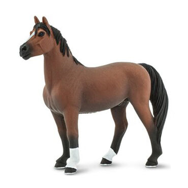 Safari Morgan Stallion Horse