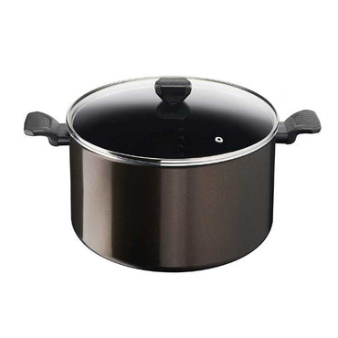 Tefal Easy Cook And Clean Stewpot 30cm + Glass Lid / B5546902