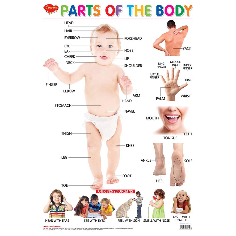 Sawan  Parts of Body Chart