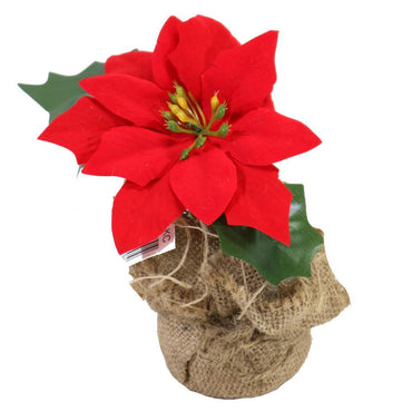 Christmas Flower Pot Deco 15.5 x 6 cm.