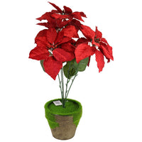 Christmas Flower Pot Decoration 50 x 9 cm.