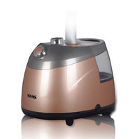 Dsp Thermostat Controlled Garment Steamer 2000W Electronics